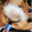 Double - Sided Pet Grooming Brush – 2 - in - 1 Deshedding & Detangling Comb for Dogs & Cats - Knack'd Up