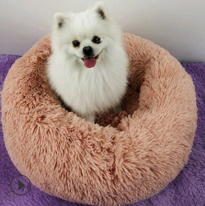 Plush Comfort for Small Dogs & Cats - Knack'd Up