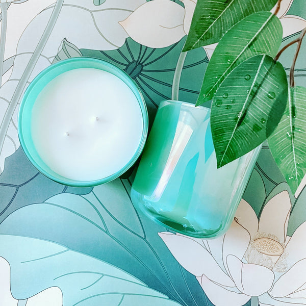 Rain Forest Candle Scents of Amber Sandalwood Greens - Knack'd Up