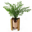 White Ceramic Planter Metal Plant Pot - Knack'd Up