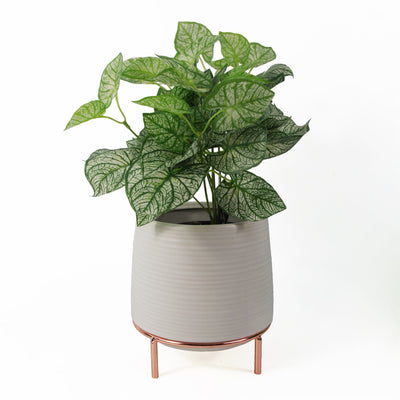 White Ceramic Planter Metal Plant Pot - Knack'd Up